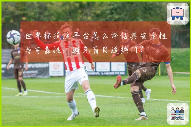 世界杯投注平台怎么评估其安全性与可靠性，避免盲目追热门？