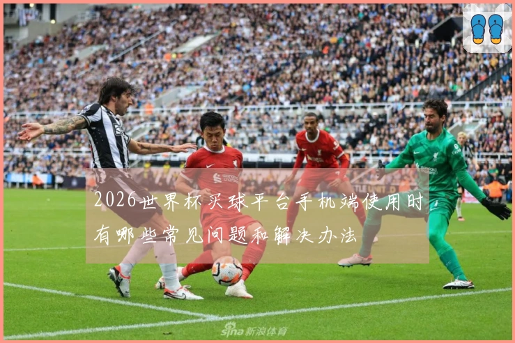 2026世界杯买球平台手机端使用时有哪些常见问题和解决办法