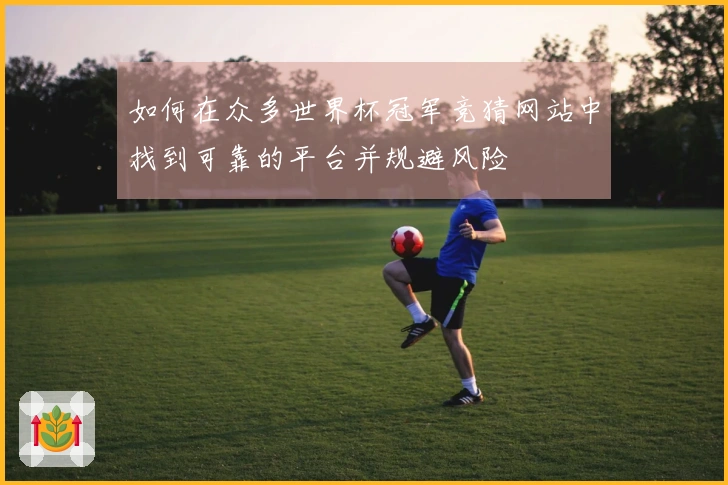 如何在众多世界杯冠军竞猜网站中找到可靠的平台并规避风险