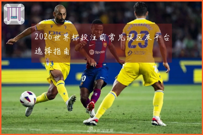 2026世界杯投注前常见误区及平台选择指南