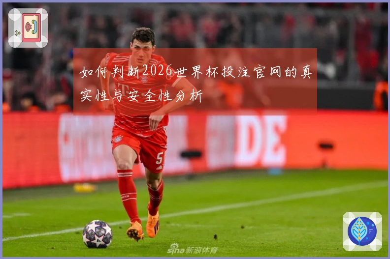 如何判断2026世界杯投注官网的真实性与安全性分析